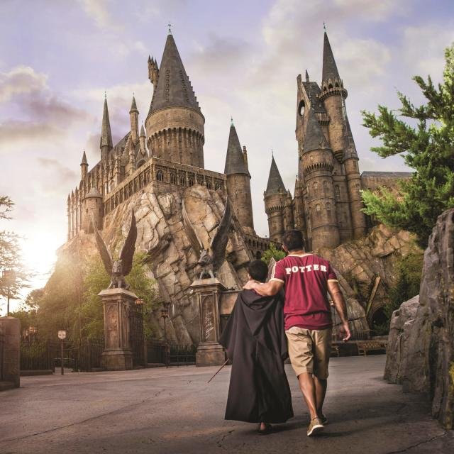 Family near Universal