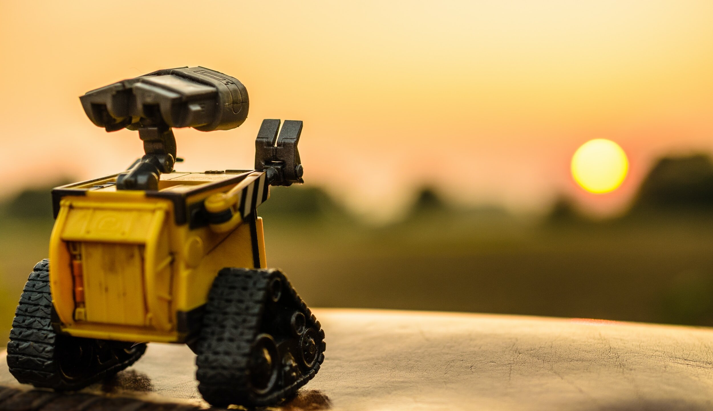 WALL-E facing a sunset