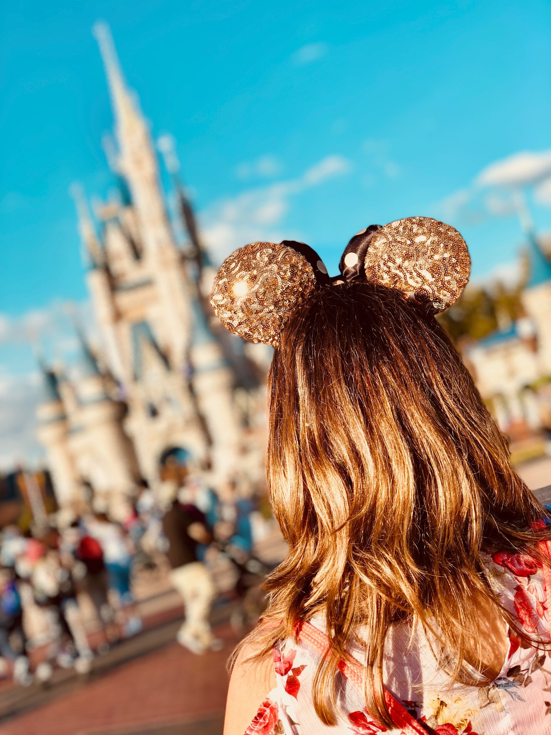 Looking toward Cinderella Castle
